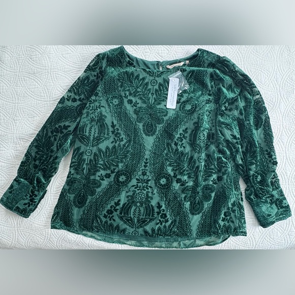 Soft Surroundings Vanetta Velvet Top Emerald 2X NWT - Picture 6 of 12